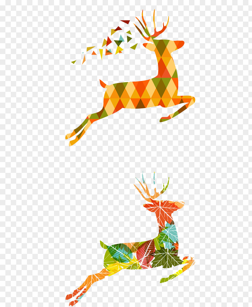 Deer Illustration PNG