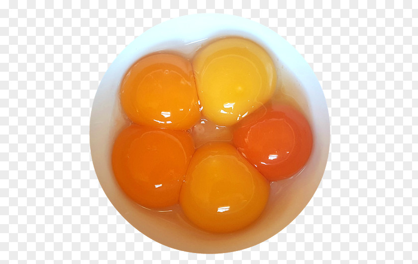 Egg Shell Chicken Yolk Salted Duck Fried PNG