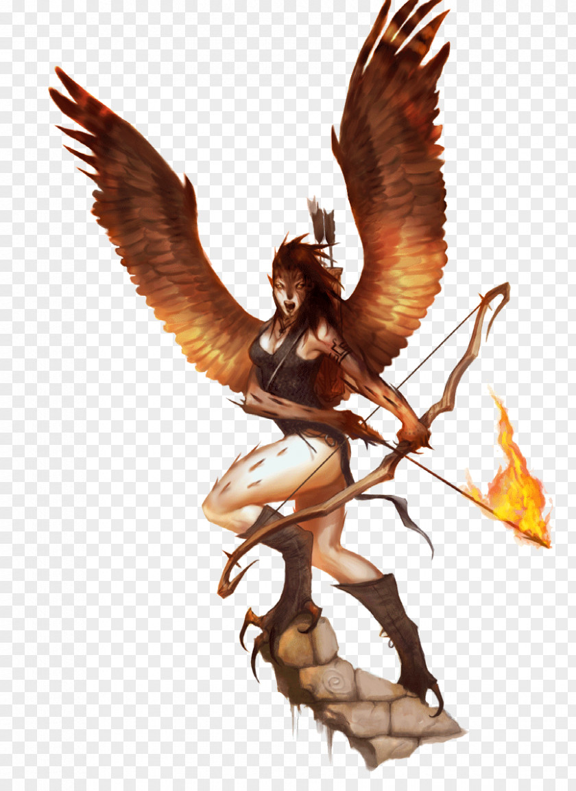 Pathfinder Roleplaying Game Dungeons & Dragons Harpy Legendary Creature Greek Mythology PNG