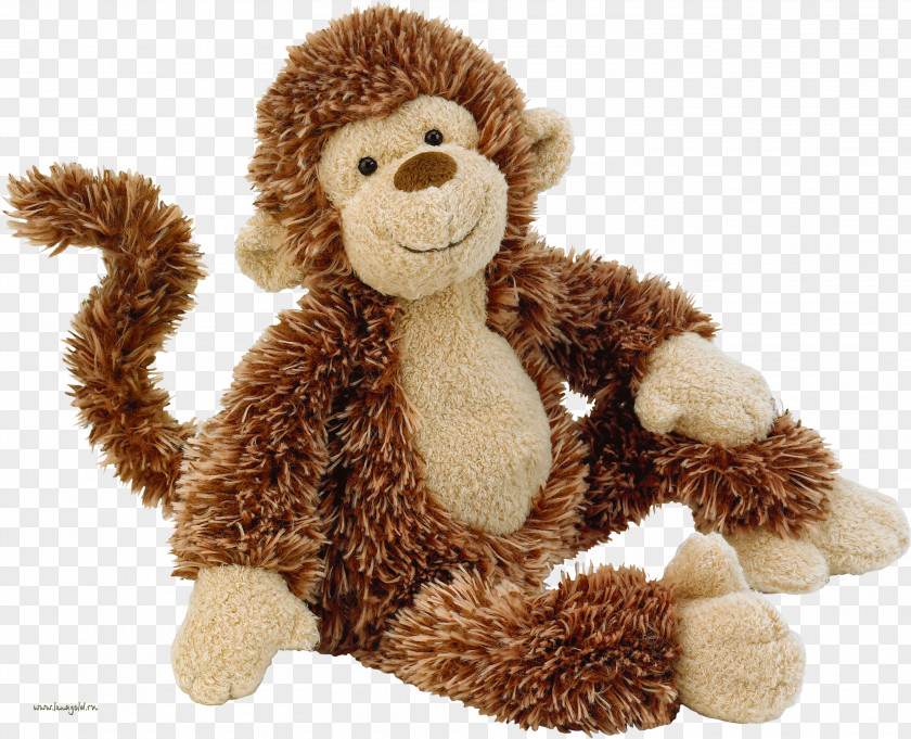 Plush Monkey Ape Cat Stuffed Toy PNG