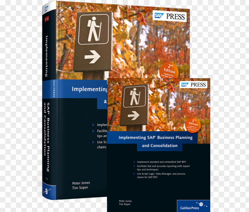 Business SAP Implementation Computer Software SE PNG