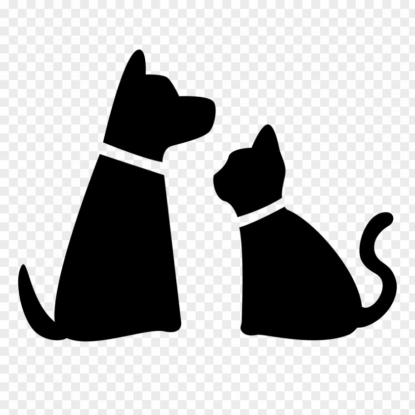 Dog And Cat Pet Sitting Walking PNG