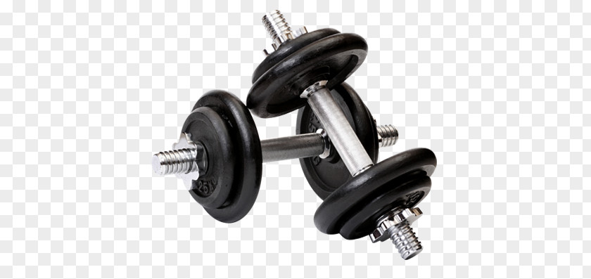 Dumbbell Weight Training Exercise Equipment Bench PNG