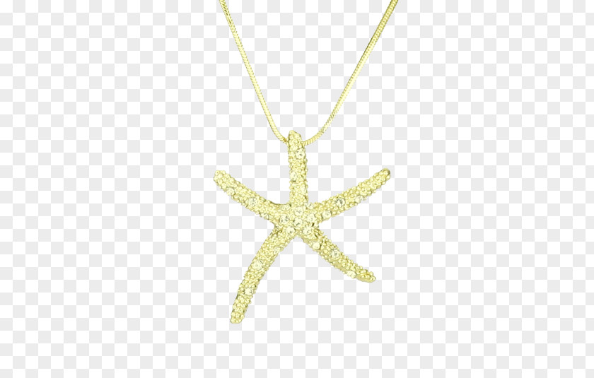 Gold Starfish Charms & Pendants Necklace Body Jewellery PNG