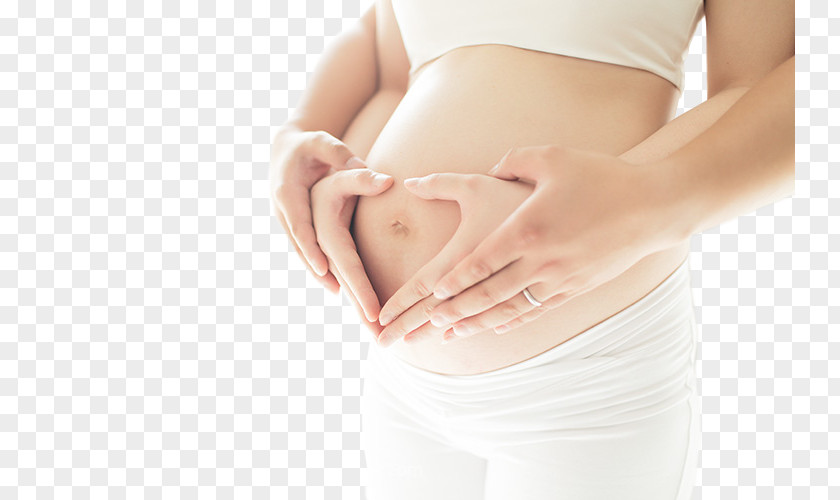 Pregnant Woman Pregnancy Computer File PNG