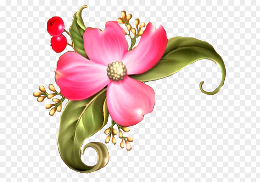 Flower Floral Design Clip Art PNG