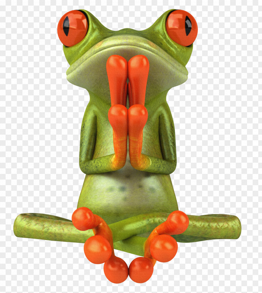 Frog Photography Zen Clip Art PNG