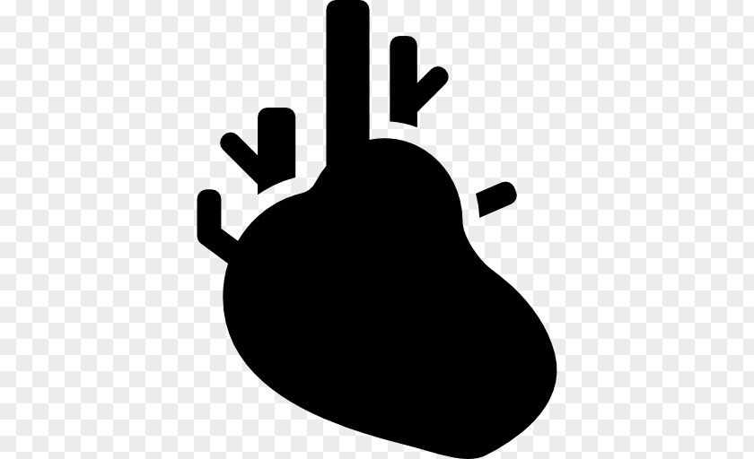 Heart Cardiology Medicine Cardiothoracic Surgery PNG