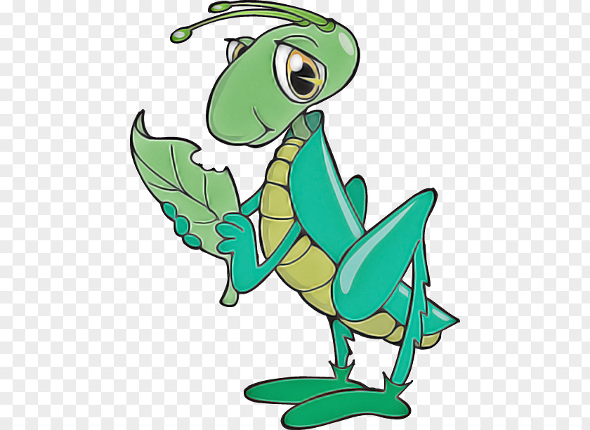 Cartoon Green Insect Line Art PNG