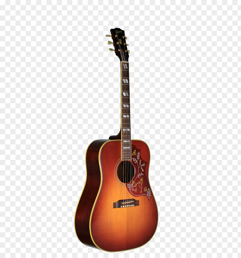 Gibson Guitar Acoustic Acoustic-electric Bass Tiple PNG