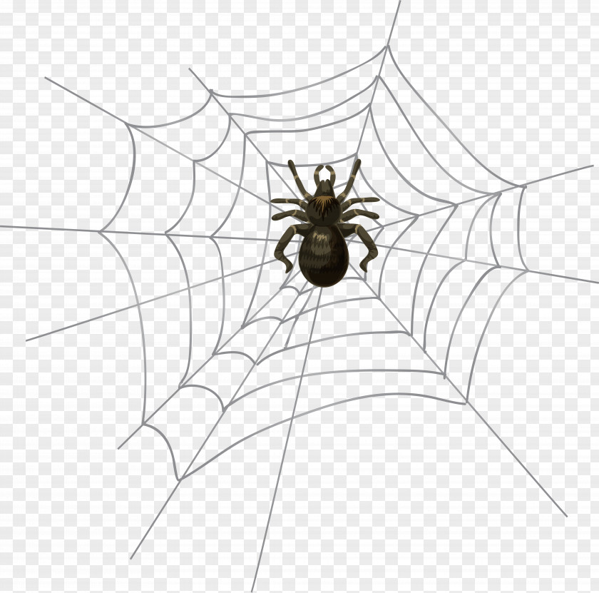 Halloween Spider Web Clip Art PNG