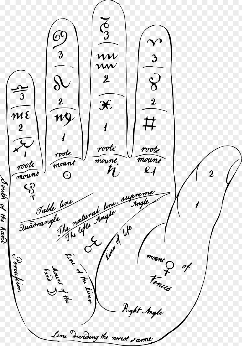 Hand Palm Line Art Palmistry Clip PNG