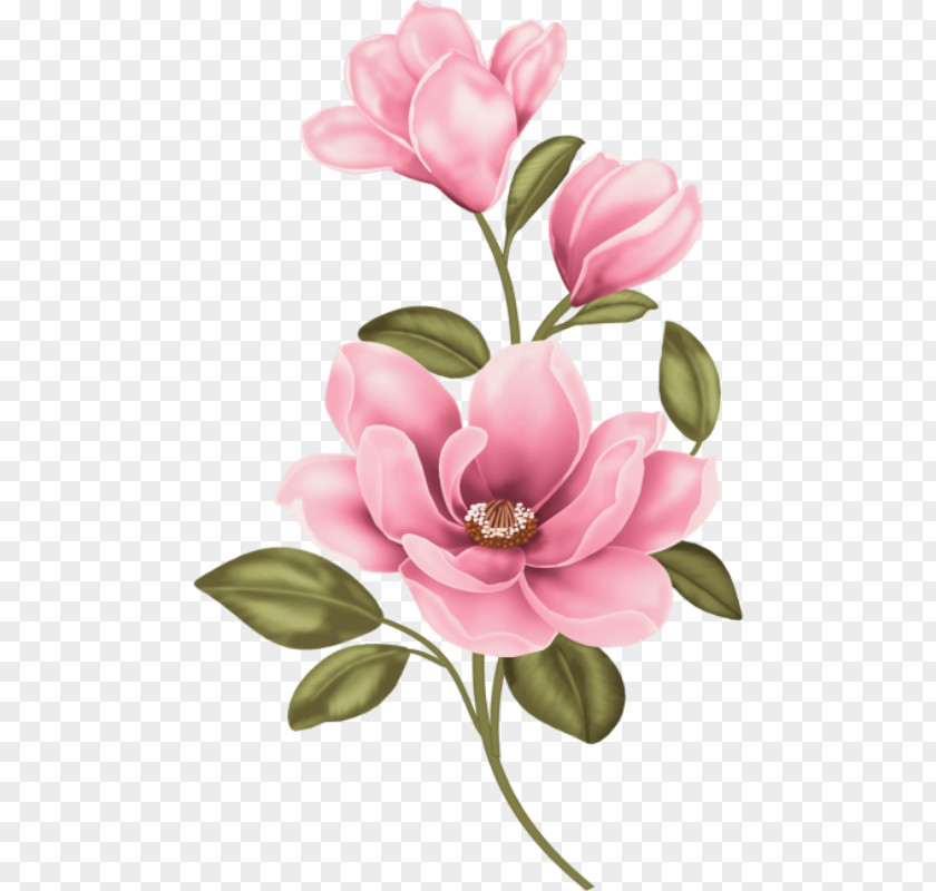 Magnolia Blossom Painting Flower Chinese Paint Your Own Masterpiece Clip Art PNG
