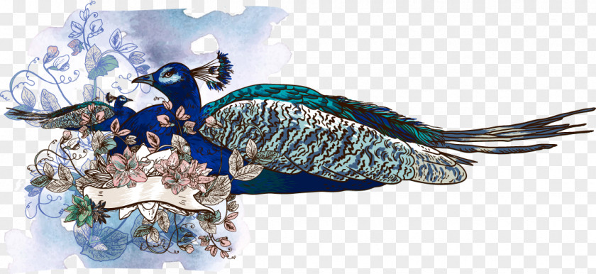 Watercolor Blue Peacock Asiatic Peafowl Illustration PNG