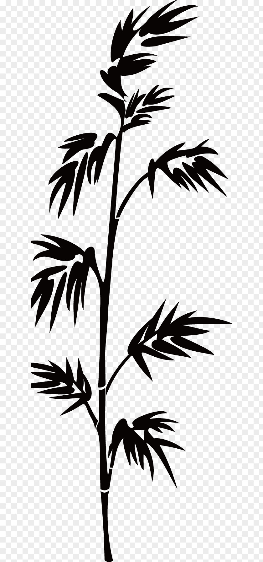 Black Bamboo Silhouette Bamboe PNG