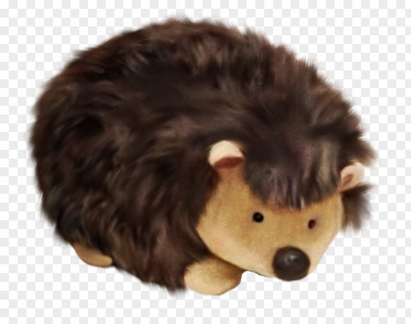Brown Hedgehog Pet PNG