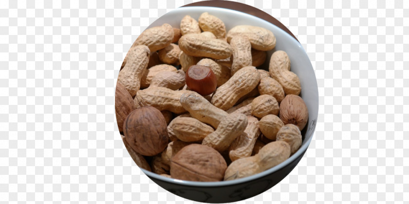 Mixed Nuts Peanut Food Health Eating PNG
