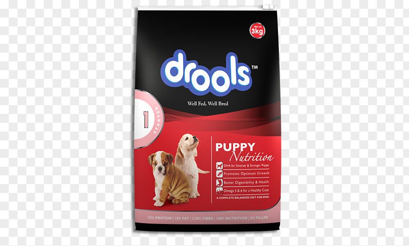 Puppy Dog Food Cat PNG