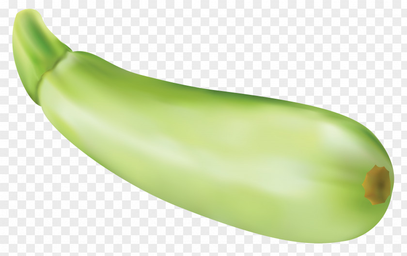 Zucchini Cliparts Clip Art PNG