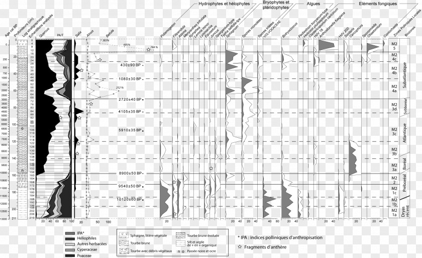 Diagram Paleoecology Drawing /m/02csf Architecture PNG