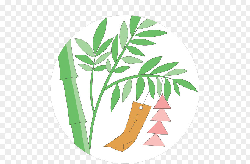 Leaf Plant Stem Shoe Clip Art PNG