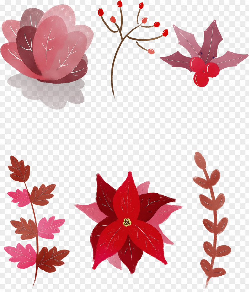 Leaf Plant Tree Petal Branch PNG