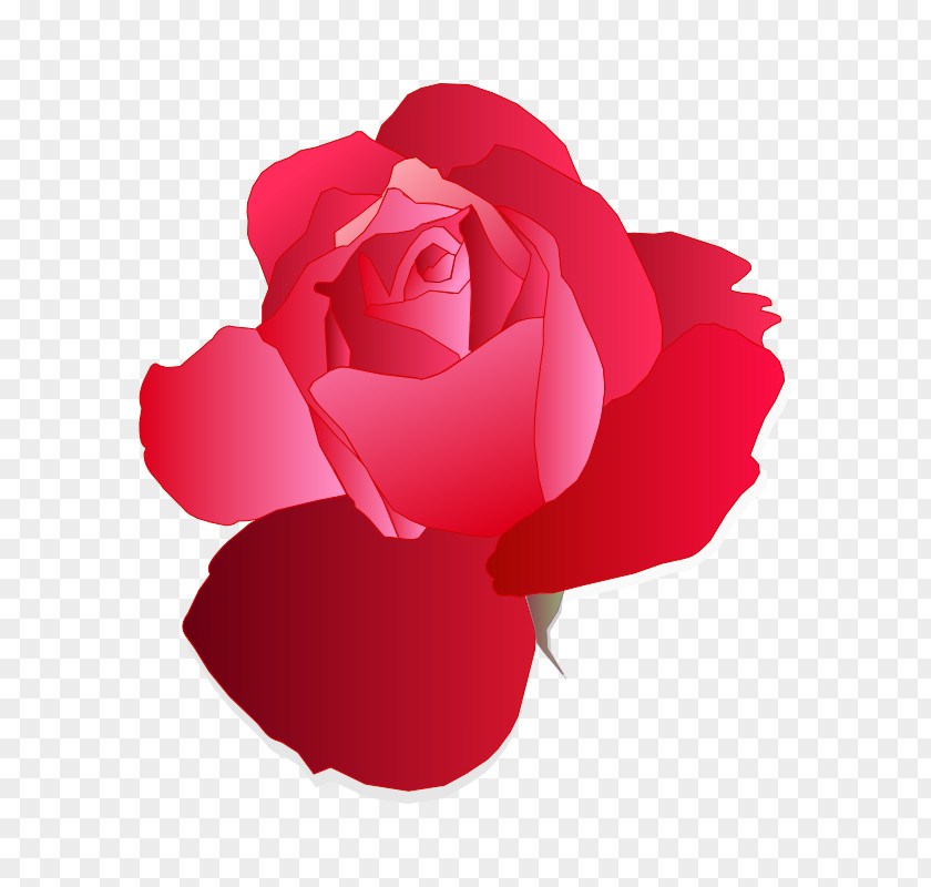 Romantic Flower Blue Rose Clip Art PNG