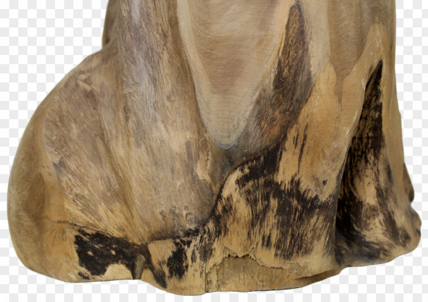 Small Stools Snout Fur PNG