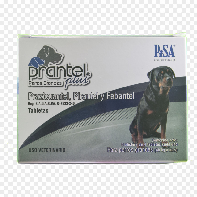 Dog Deworming Cat Puppy Praziquantel PNG