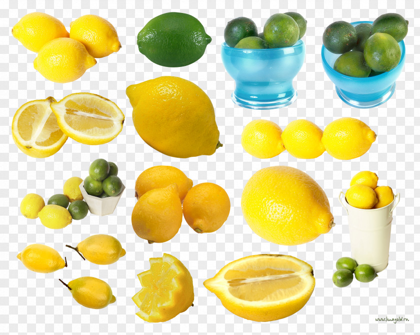 Lemon Lemon-lime Drink Food Key Lime Citric Acid PNG