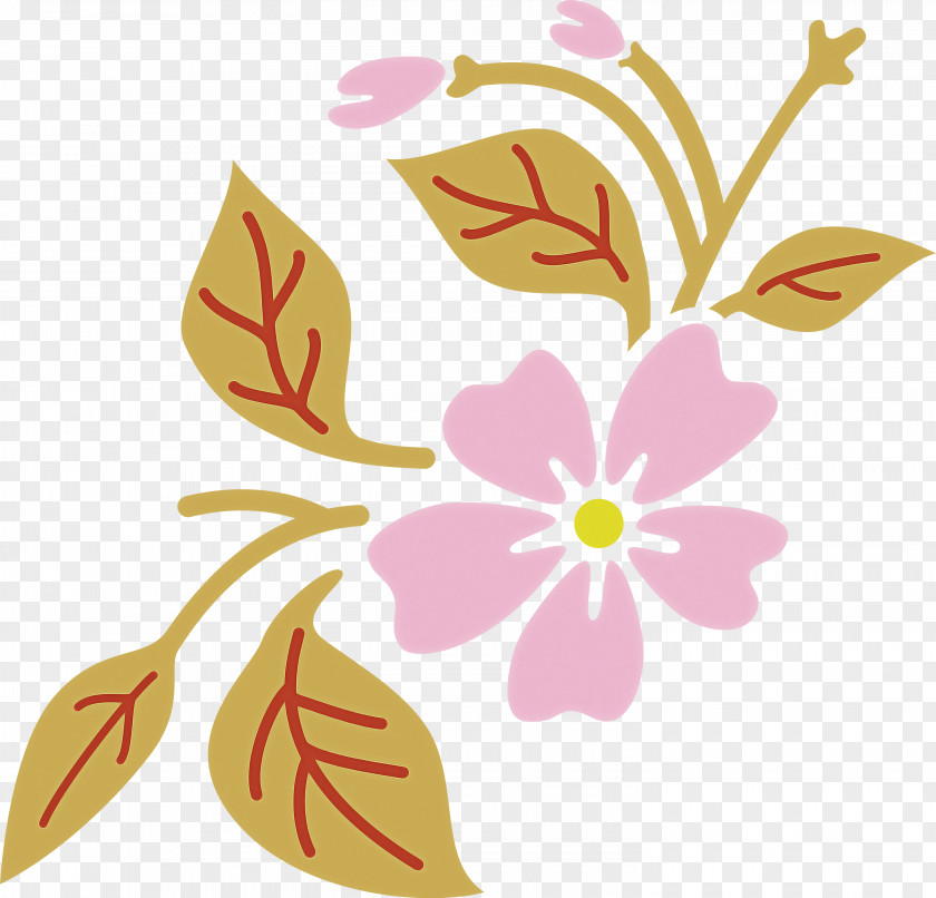 Petal Pink Flower Plant Pedicel PNG