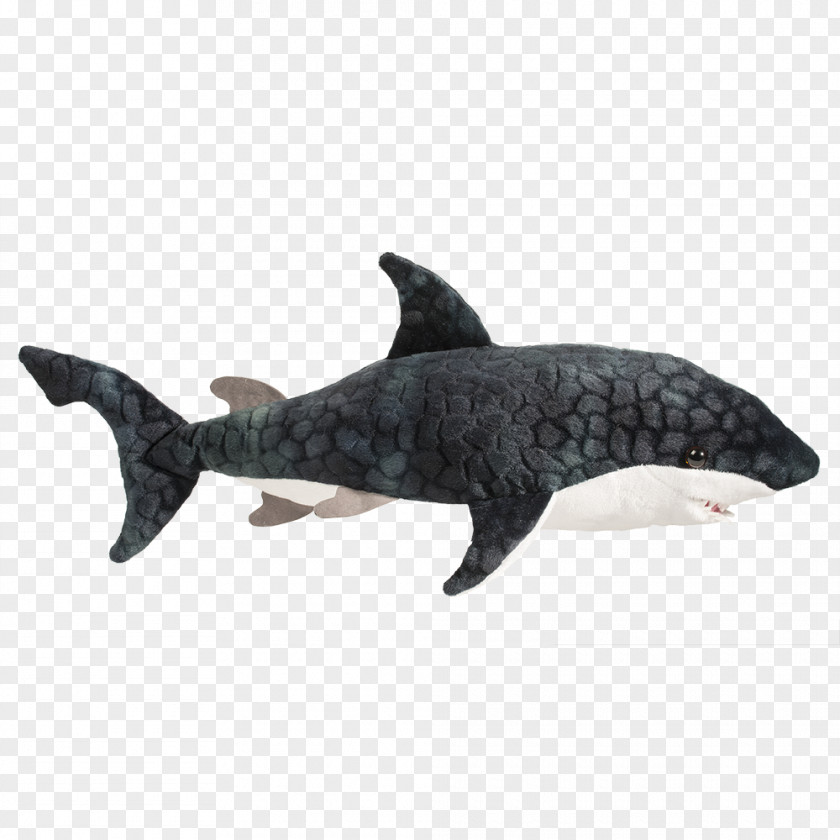 Whale Blue Shark Porpoise Fish Finning PNG