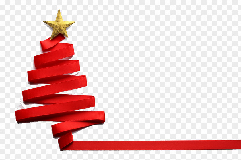 Christmas Tree Day Royalty-free Stock.xchng Stock Photography PNG