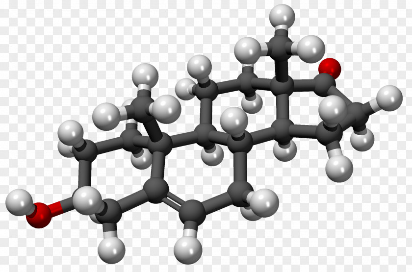 Dehydroepiandrosterone Sulfate Androstenedione Molecule Hormone PNG