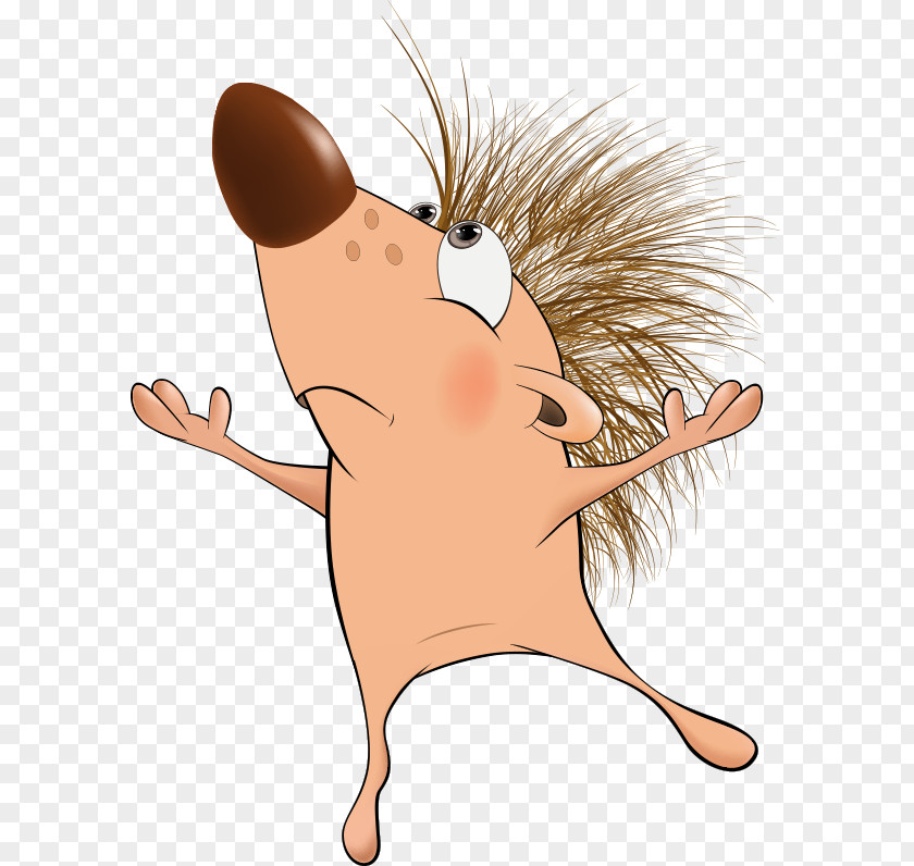 European Hedgehog U0401u0436u0438u043a PNG u0401u0436u0438u043a , hand hedgehog clipart PNG