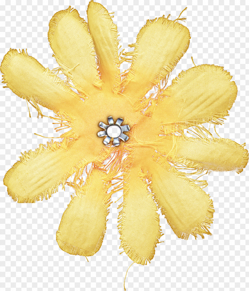 Fashion Accessory Petal Yellow Plant Flower Hair PNG