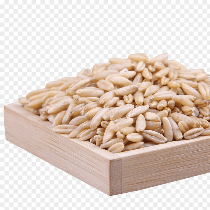 Flour Cereal Germ Five Grains Food PNG