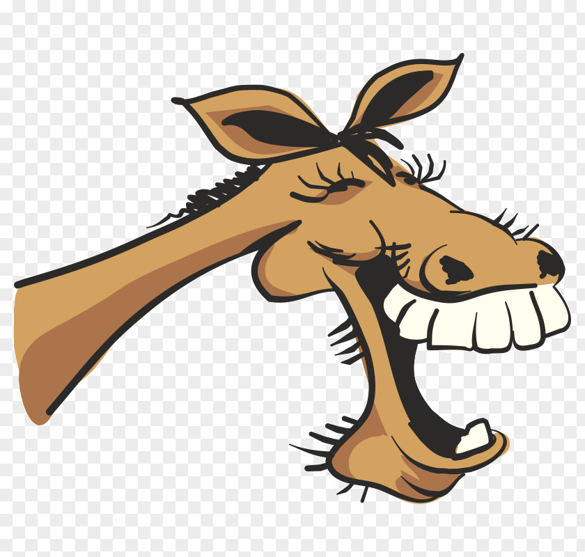 Horse Clip Art Laughter Image Humour PNG