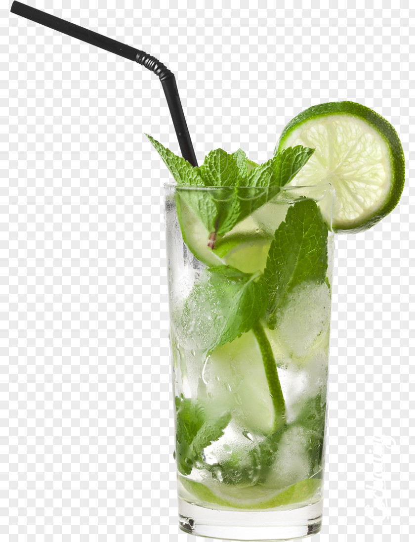 Mojito Cocktail Juice Fizzy Drinks Beer PNG