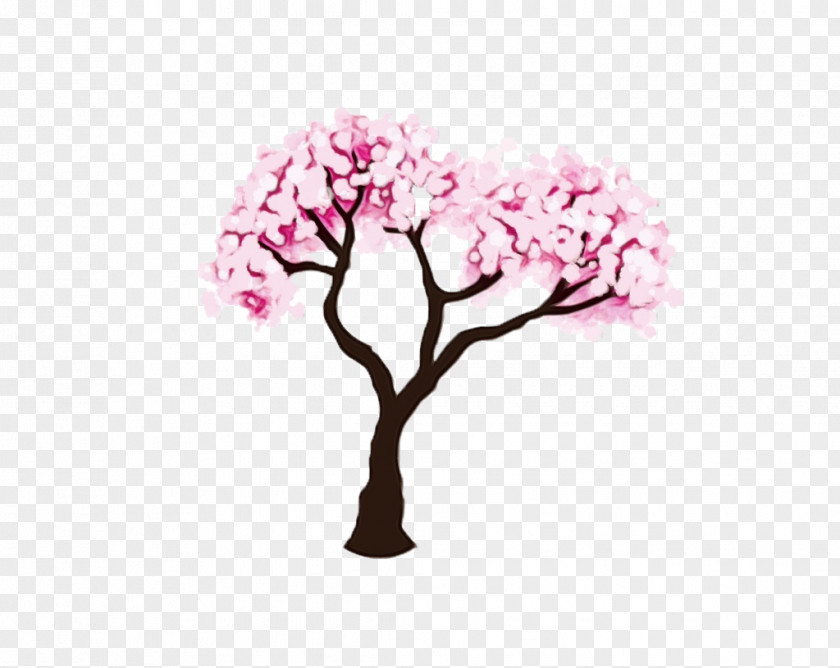 Spring Woody Plant Cherry Blossom PNG