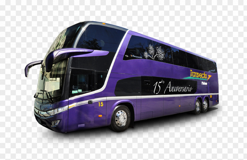 Bus Tour Service Transvectio Excursion Transport PNG