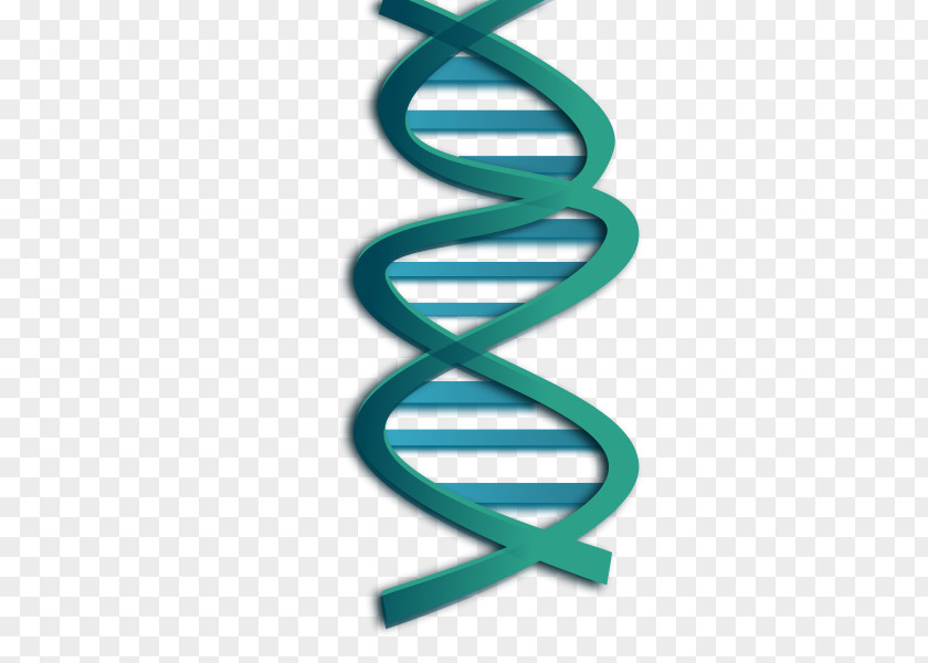Microbiology Cliparts DNA Nucleic Acid Double Helix Genetics Clip Art PNG