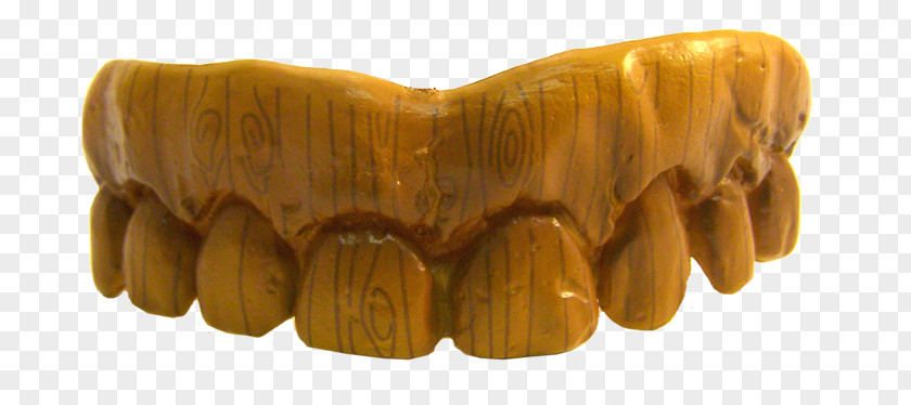 Why Pair Programming Dentures Human Tooth Dentistry Billy Bob PNG
