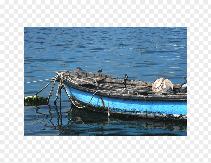 Barque Oar Fishing Vessel Rowing Aspect Ratio PNG