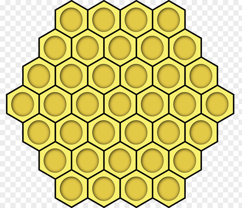 Bee Honey Honeycomb Beehive Clip Art PNG