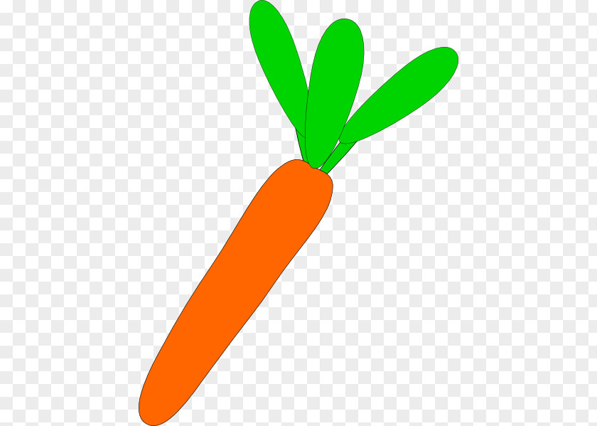 Carrot Pics Vegetable Vegetarian Cuisine Clip Art PNG