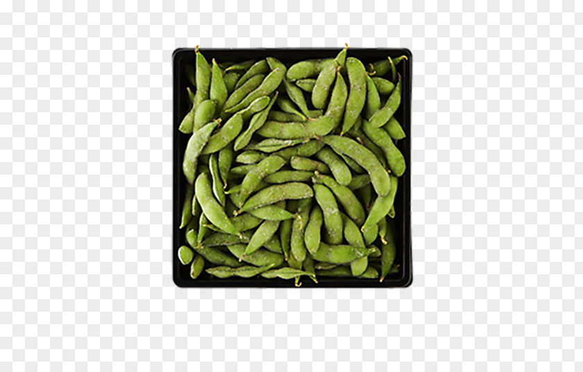 Edamame Vegetarian Cuisine Lima Bean Food Commodity PNG