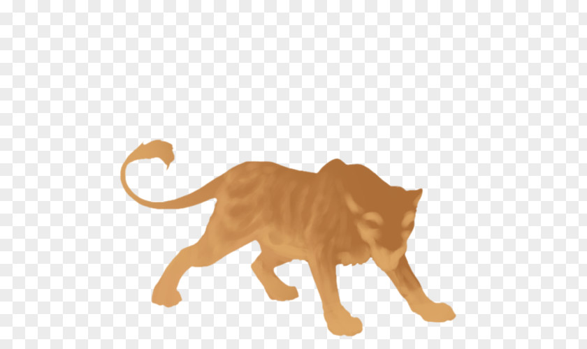 Golden Scar Lion Siamese Cat Big Terrestrial Animal PNG