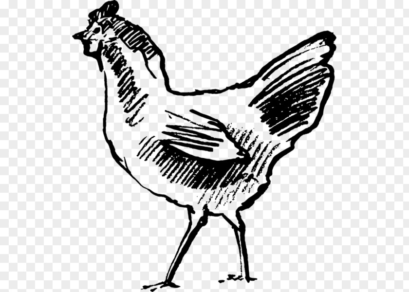 Rubber Stamp Chicken Line Art PNG