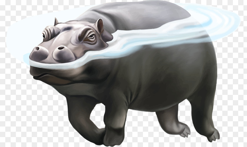 Water Hippo Hippopotamus Rhinoceros Polar Bear Illustration PNG